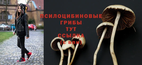 каннабис Горно-Алтайск