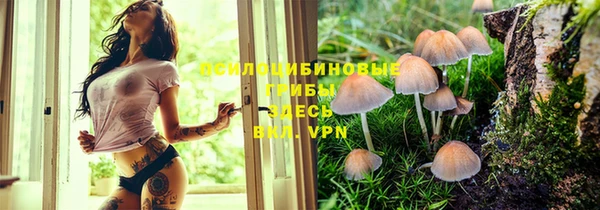 мяу мяу кристалл Гусь-Хрустальный