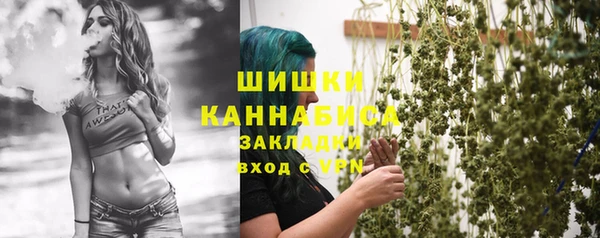 ГАЛЛЮЦИНОГЕННЫЕ ГРИБЫ Горнозаводск