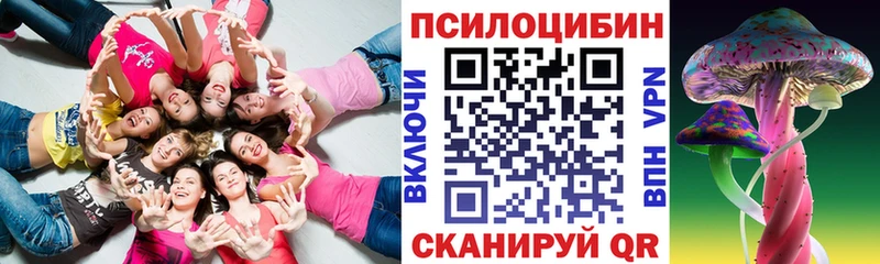 Купить  Клинцы  Псилоцибиновые грибы Cubensis 